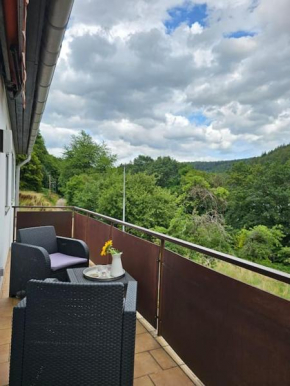 Große Ferienwohnung am Waldrand